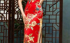 日本一区午夜艳熟免费